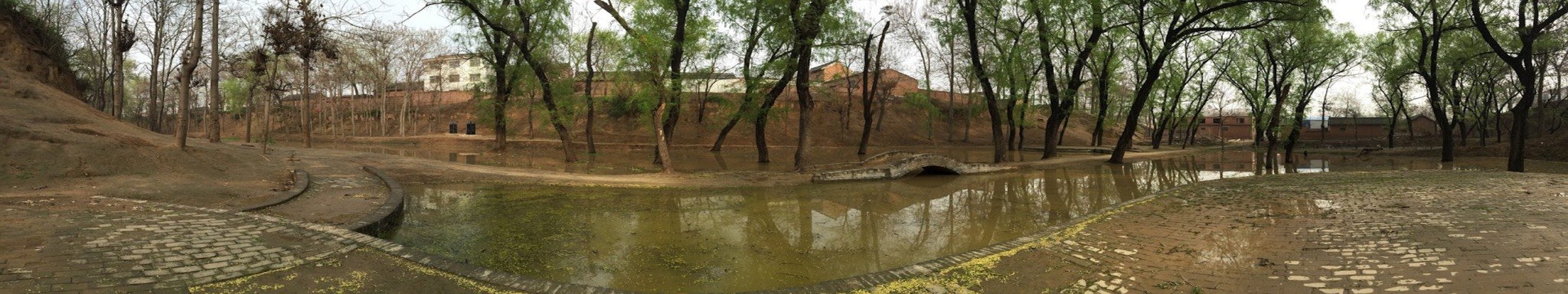 Panoramic view of the historic ditch and tree-lined landscape in Chenjiagou, birthplace of Chen-family Taijiquan